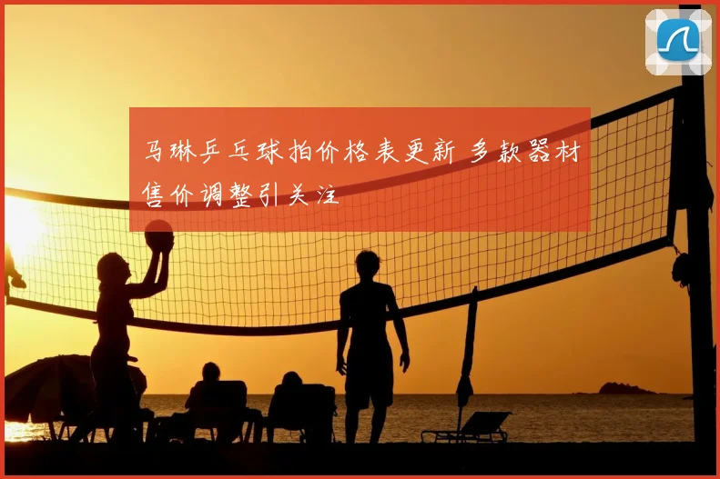 马琳乒乓球拍价格表更新 多款器材售价调整引关注