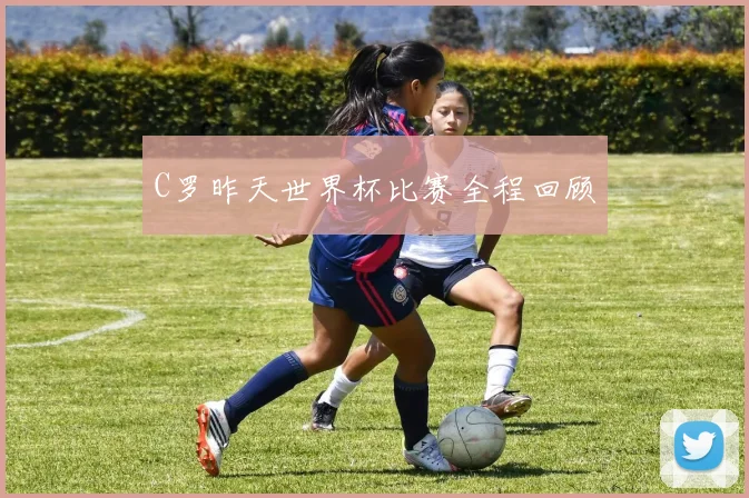 C罗昨天世界杯比赛全程回顾
