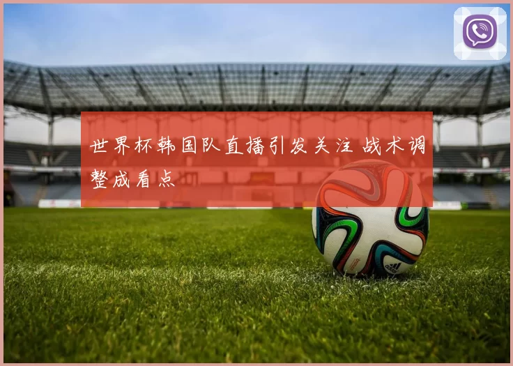 世界杯韩国队直播引发关注 战术调整成看点
