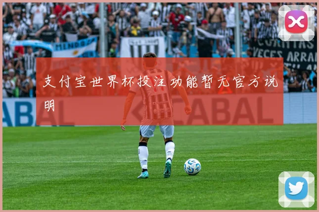 支付宝世界杯投注功能暂无官方说明