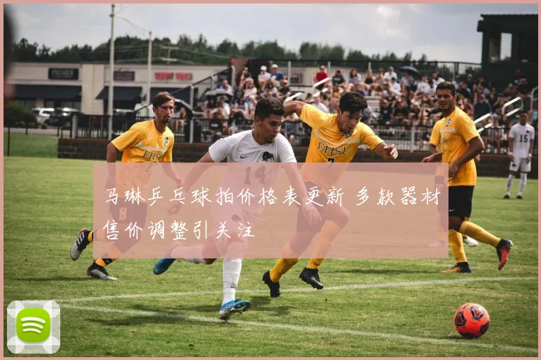 马琳乒乓球拍价格表更新 多款器材售价调整引关注