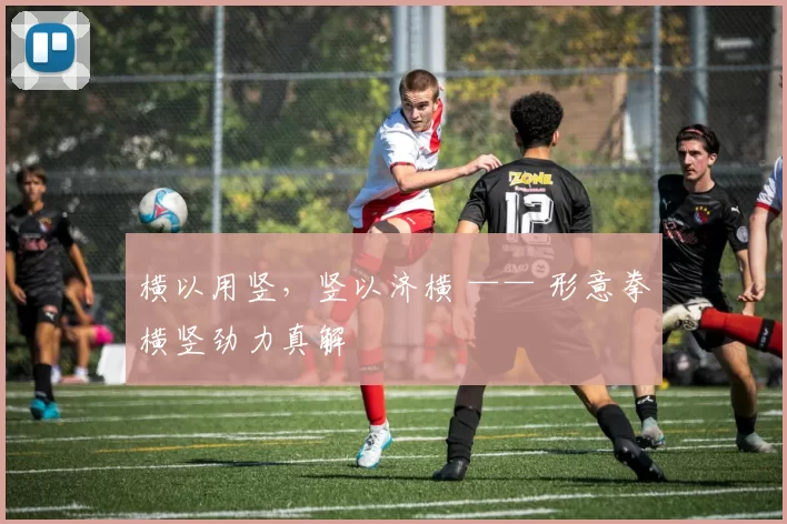 横以用竖,竖以济横 —— 形意拳横竖劲力真解