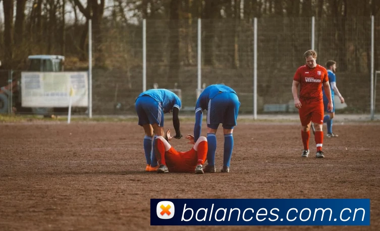 leyu乐鱼官方网页APP 封面图